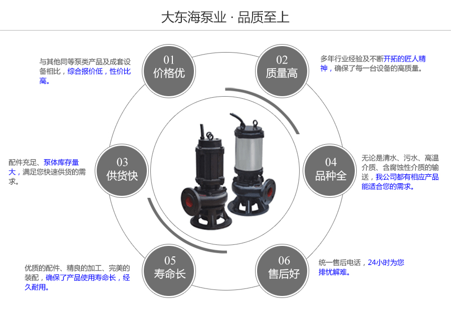 大东海泵业WQ型排污泵质量保证图