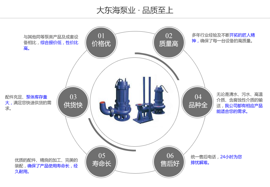 大东海泵业WQ型工程污水泵质量保证图